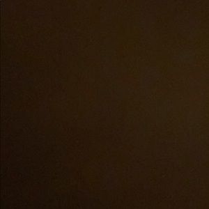 Meet your Posher, Rakeisha